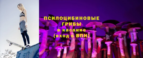 гидра Волоколамск