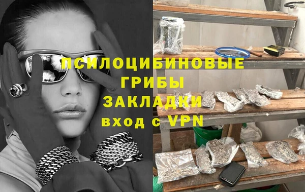 гидра Волоколамск