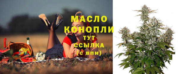 гидра Волоколамск