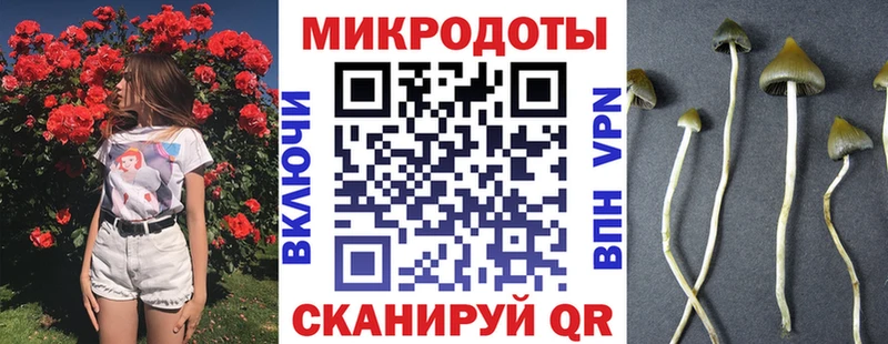 где найти   Исилькуль  Галлюциногенные грибы прущие грибы 